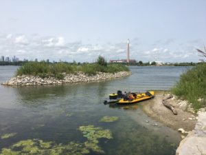 Looking north east from Tommy Thompson Park. ©Robert McClellan