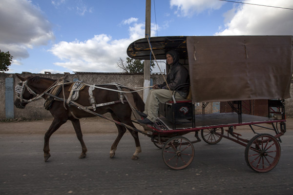 Horse Cart_1850w