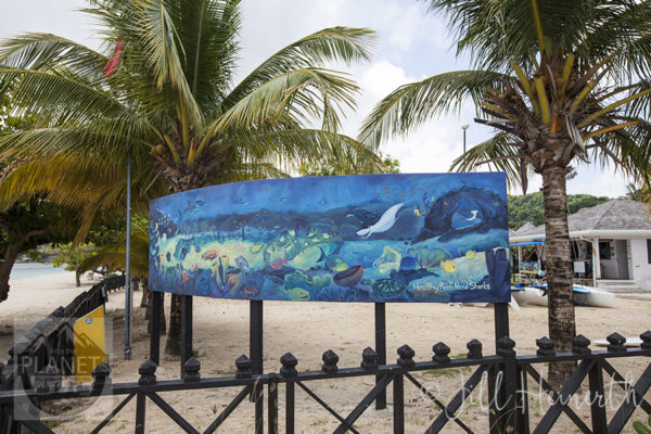 EcoDiveShopMural6669lwm