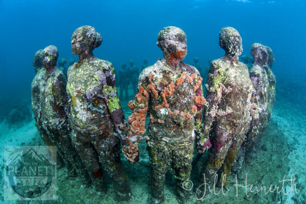 EcoDiveShopSculptures7084wm