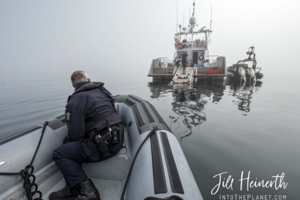 Navigating through the fog to reach the PV Inskter.