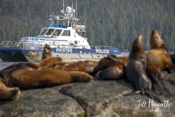 PV Inskter patrols nearby a colony of stellar sea lions.